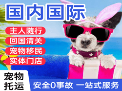 乌审旗嘎鲁图航空托运国际宠物托运 【国